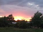 IMG_2594.JPG