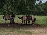 IMG_1760.JPG