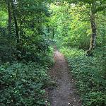 Trail.jpg