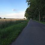 Straße.jpg