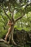 2187762-nude-kaukasischen-jungen-erwachsenen-frau-in-ppigen-wald-umarmt-ast.jpg