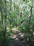 20150805_160104.jpg