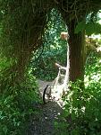 20150805_160740.jpg