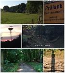 verkleinert(13).jpg