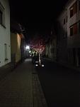 IMG_2894.jpg
