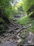 Falkenstein2015 063_klein.jpg