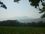 IMG_20150812_092633.jpg