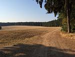 IMG_1237.jpg