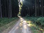 IMG_1241.jpg