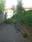 20150815_150222.jpg