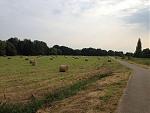 IMG_1899.JPG