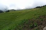 IMG_5043.JPG