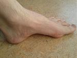 IMG_20150804_081739.jpg