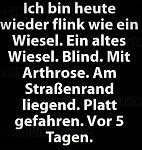 flink wie ein wiesel.jpg