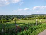 P1010321a.jpg