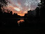 IMG_0793.jpg