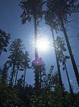 Sonne.jpg