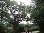 DSC01615.JPG