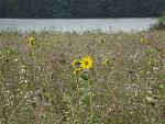 DSC01616.JPG