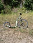 Juli 2015, Molle Handy 016.jpg