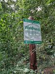 IMG_20150905_114151.jpg