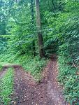 IMG_20150905_121653.jpg