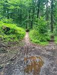 IMG_20150905_122010.jpg