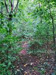IMG_20150905_133655.jpg