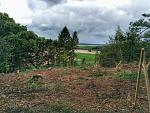 IMG_20150905_140149.jpg