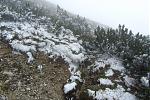 IMG_5211.JPG