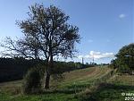 2015-09-10_Dienstweg04.jpg