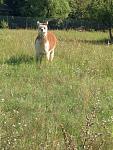 IMG_2072.JPG