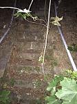 Treppe.jpg