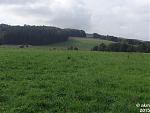 2015-09-20_Kernscheid05.jpg
