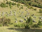 runtastic2015-09-19_14_12_18.jpg