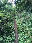 Trail.jpg