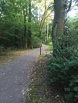 Wald.jpg