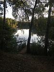 Teich.jpg