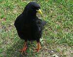 IMG_0216.JPG