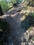 IMG_3138_1.jpg