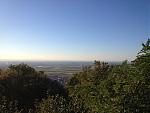 IMG_3139_1.JPG