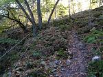 IMG_3142_1.jpg