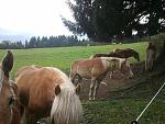 IMG_20151007_161316.jpg