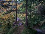 IMG_20151007_161830.jpg