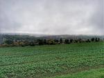 IMG_20151009_100323.jpg