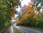 IMG_20151009_103056.jpg