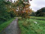 IMG_20151009_105102.jpg