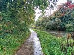 IMG_20151009_105709.jpg