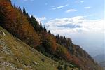 IMG_0261.JPG