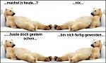 NIchtstun.jpg
